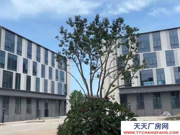 福州市長樂機(jī)加工廠房 機(jī)場旁全新產(chǎn)業(yè)園7.2米層高廠房，50年產(chǎn)權(quán)！9月交付