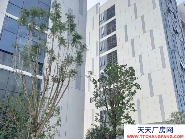 福州市長樂機(jī)加工廠房 機(jī)場旁全新產(chǎn)業(yè)園7.2米層高廠房，50年產(chǎn)權(quán)！9月交付