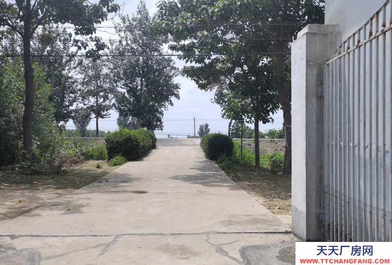 滄州 獻縣食鹽廠房 (出租) 滄州獻縣城南經濟開發區7500平米低價出租 廠房出租