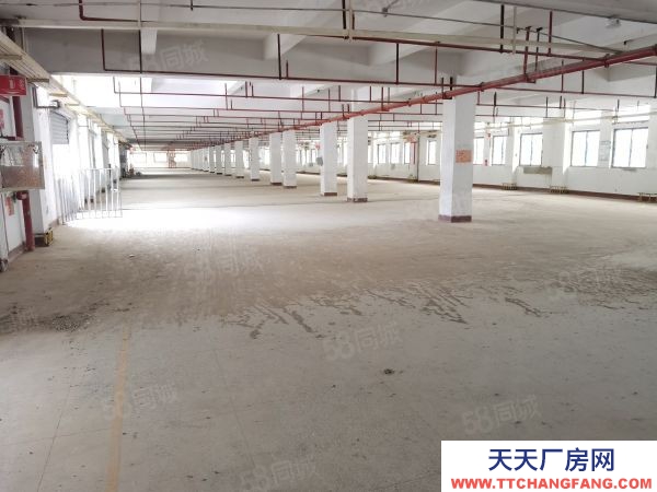 福州市馬尾碳酸飲料廠房 馬尾中心位置,房東直租,標(biāo)準(zhǔn)廠房