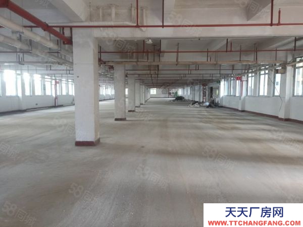 福州市馬尾機(jī)加工廠房 海峽高新雙創(chuàng)產(chǎn)業(yè)園,招商部直租免中介費(fèi)