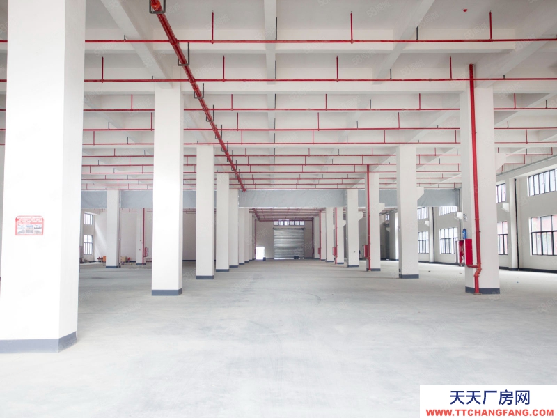 (出租) 廣州白云可分租政府物業(yè),紅本園區(qū)全新通用廠房,商事稅務(wù)一站辦理可休閑食品加工