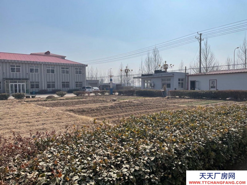 滄州 南皮蔬菜制品廠房(出售) 占地7992平米，建筑面積2800平米。