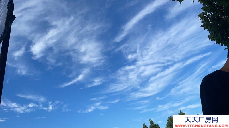 滄州 肅寧水產制品廠房(出租) 地理位置優越交通便利價格面議