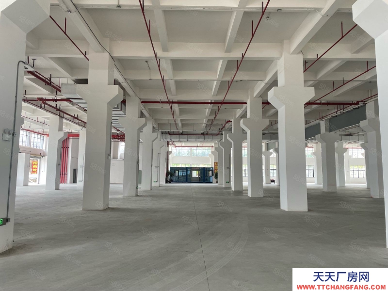(出租) 廣州白云新建20000平正規工業廠房招租紅本證件雨污分流可辦環評適合五金