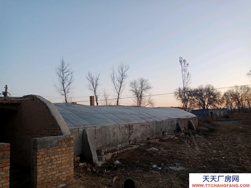 (出租) 鄂爾多斯養豬場轉租，有固定客戶。。