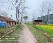 (出租) 棠村鎮空地出租，價格優惠