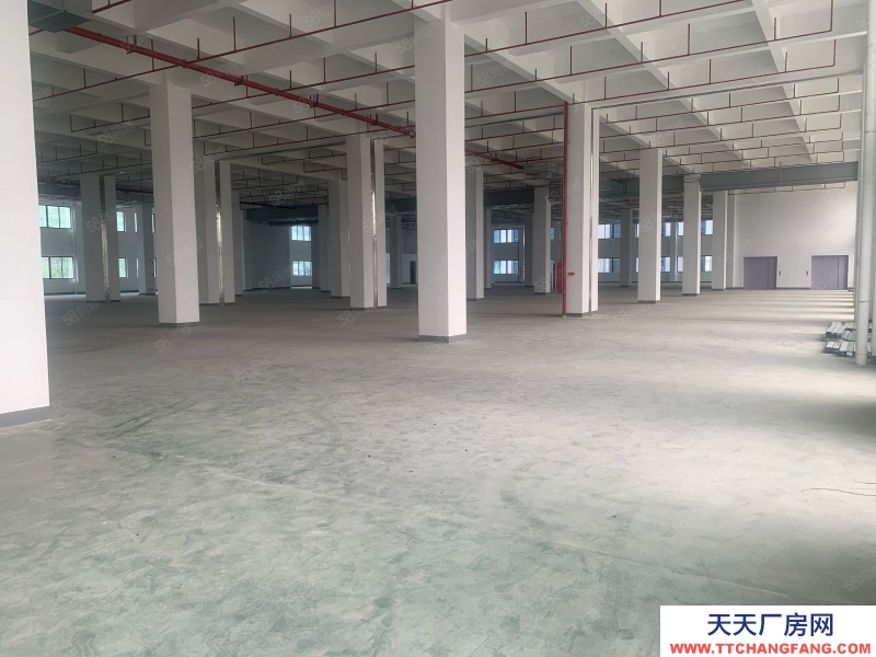 (出租) 廣州花都機場周邊，高速路口，超大空地，適合各行各業物流倉庫