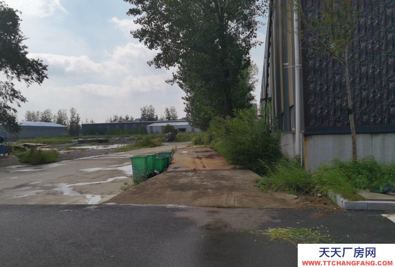 滄州 吳橋(出售) 廠區占地141畝，豆制品廠房22000平，辦公樓及宿舍樓7000余