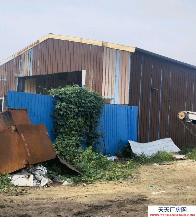 滄州 孟村(出租) 水電齊全出進方便適合