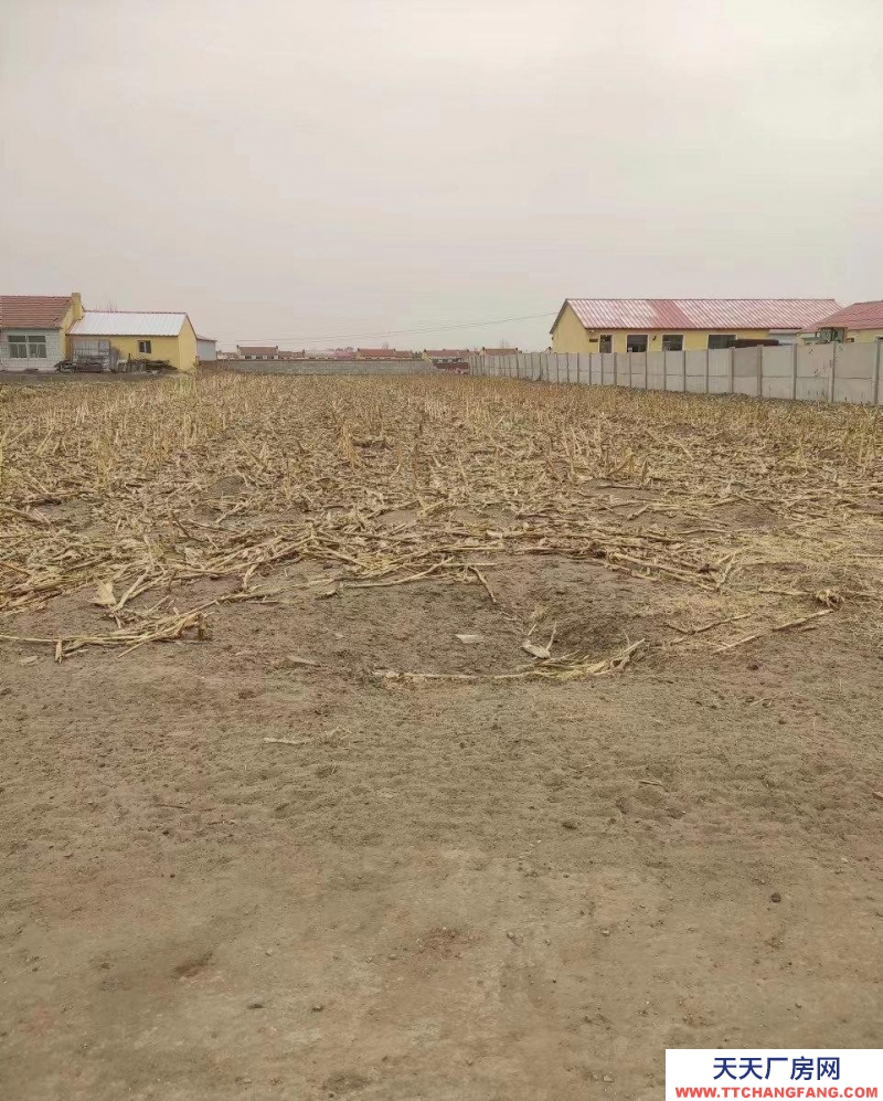 (出售) 通遼出售橋北遼河鎮(zhèn)曹家村農(nóng)村大院 適合養(yǎng)殖 居住