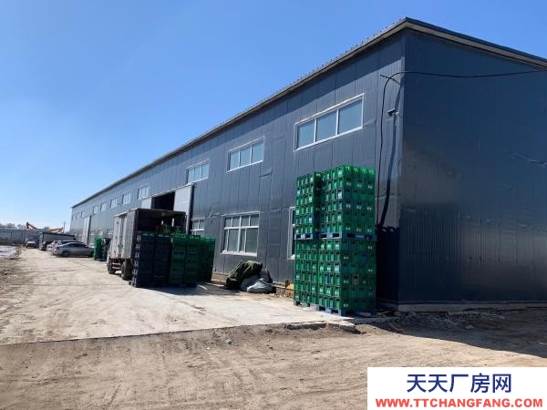 薩爾圖直租鋼結構，可做家具廠房倉庫