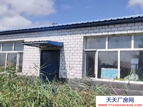 薩爾圖春雷廠房急售 可以看房