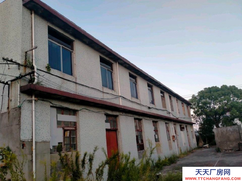 舟山市岱山(出租) 樓上4百平米通間也可隔斷，樓下4百平米，