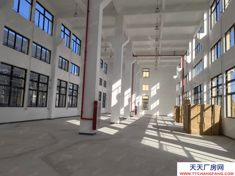 臺州市椒江(出租) 急租精裝修廠房楓南路全新獨棟15層,無行業(yè)要求形象好