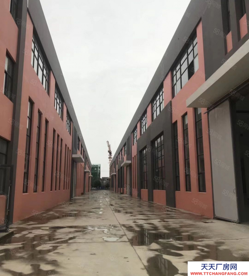 (出租) 常州鐘樓獨棟機械行車廠房1000 2500 3300平米出租適合生物醫(yī)藥