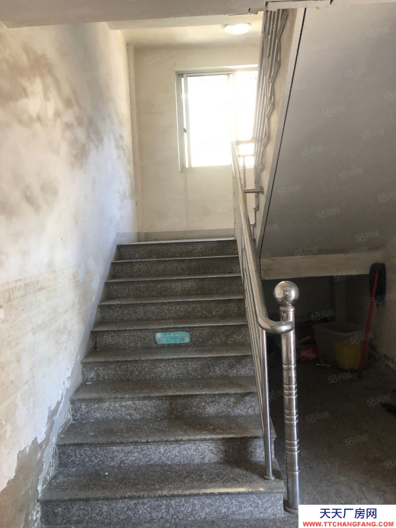 臺州市椒江(出售) 濱海工業區廠房20畝出售    薯類和膨化食品