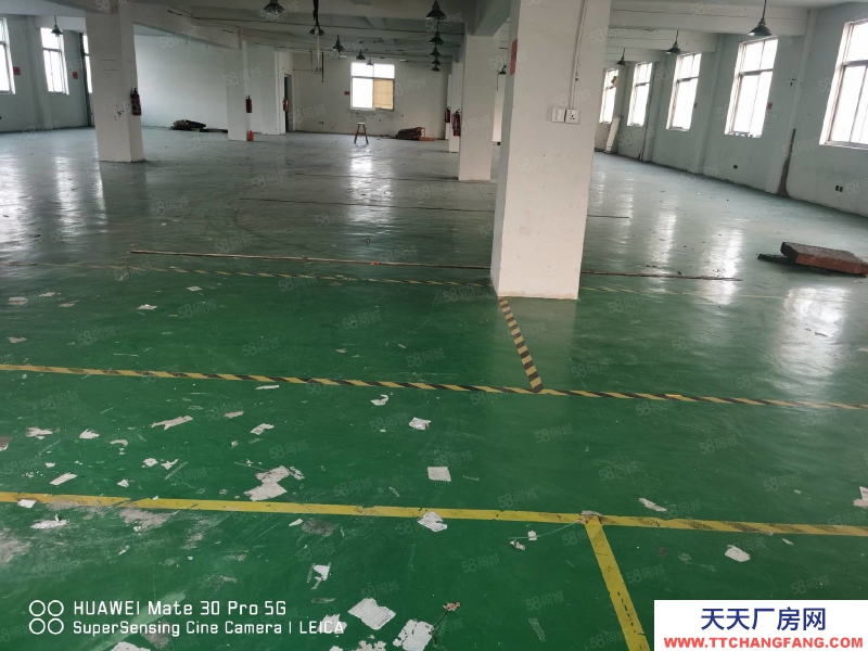 臺州市椒江(出售) 出售廠房，椒江聚星科創園，1500平方，3680一平方  調味品