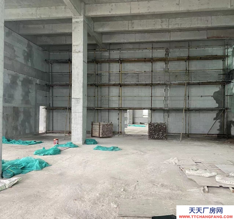 臺(tái)州市椒江(出售) （甲方直銷）濱海新區(qū)高標(biāo)辦公廠房出售，工業(yè)配套完善！  乳制品