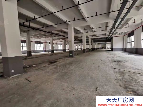 福州市連江機(jī)加工廠房 連江縣城,獨(dú)院30畝鋼混結(jié)構(gòu)廠房出售