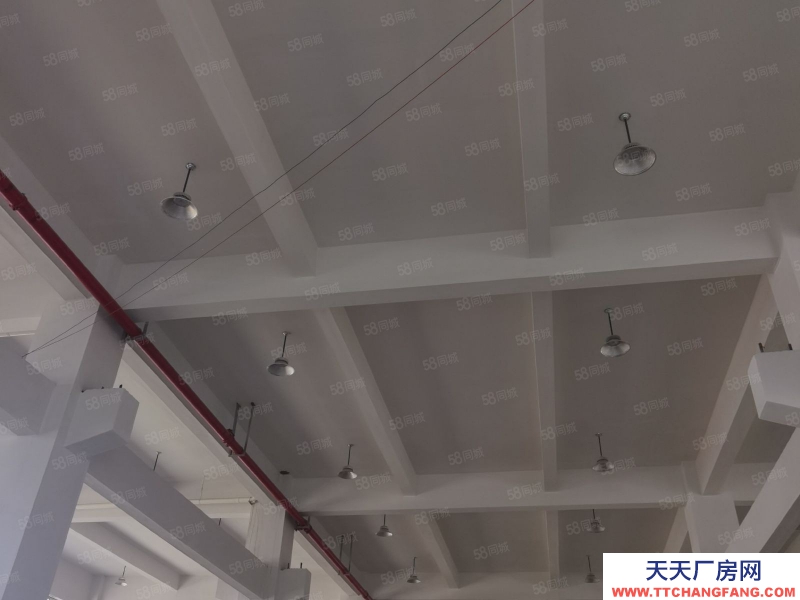 臺州市黃巖(出租) 出租，黃巖區十里鋪樓上2000平 蜂產品