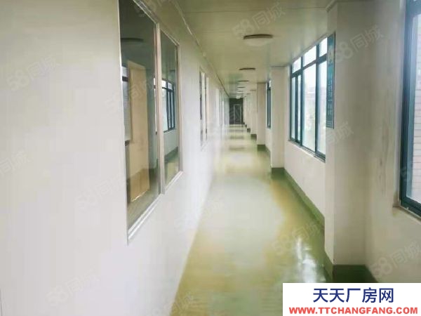 福州市羅源豆制品廠房 390萬轉(zhuǎn)讓出售廠房羅源白塔鄉(xiāng)鎮(zhèn)工業(yè)區(qū)6畝地蓋了3千多平