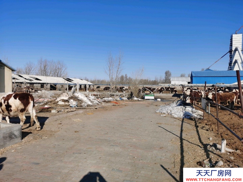 (出售) 雙泡子北腰伯吐養牛小區 廠房 5400平米