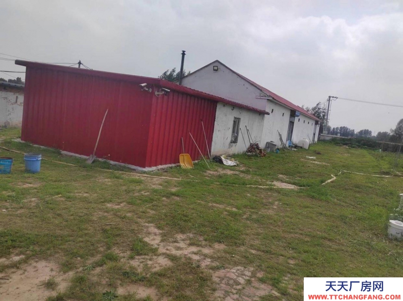 (出售) 出租 出售廠房 非常適合興建糧庫、生產(chǎn)加工企業(yè)和養(yǎng)殖