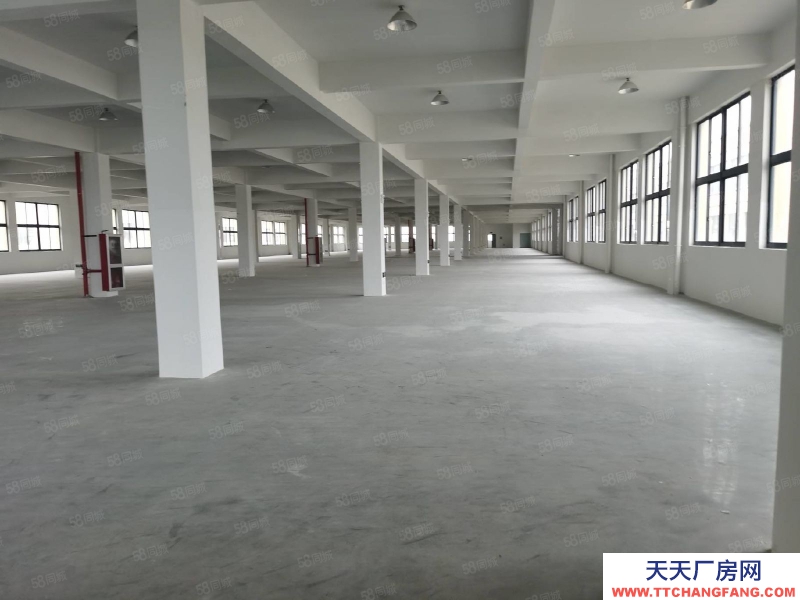 臺州市黃巖(出售) 出售黃巖江口廠房，土地12米，建筑面積13500平。一樓8米 冷凍飲品