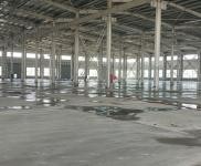 (出租) 出租漯河臨潁城區全新廠房，價格面議