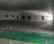 (出租)漯河臨潁 新廠房，周邊食品廠，臨近高速路口，交通便利