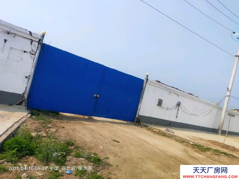 衡水 棗強(速凍食品廠房出租) 交通便利，水電齊全，可進13米大車