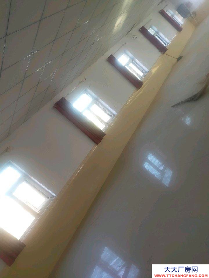 衡水 深州茶制品廠房(出租) 干凈整潔，帶動力電240平一處，120平兩處可分租