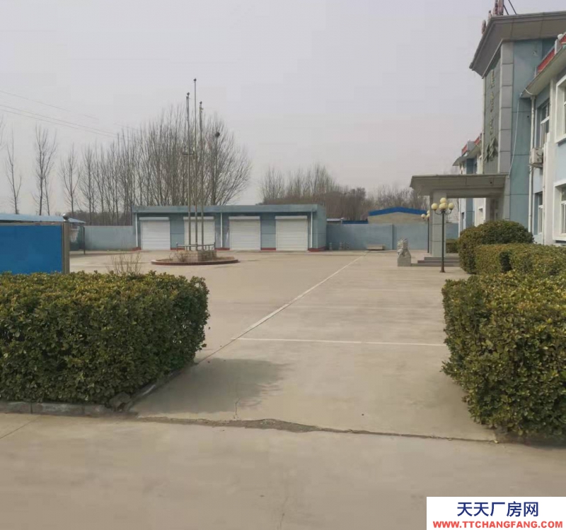 衡水 冀州炒貨食品及堅果制品廠房(出租) 緊鄰106國道，冀州南高速口，出入方便。