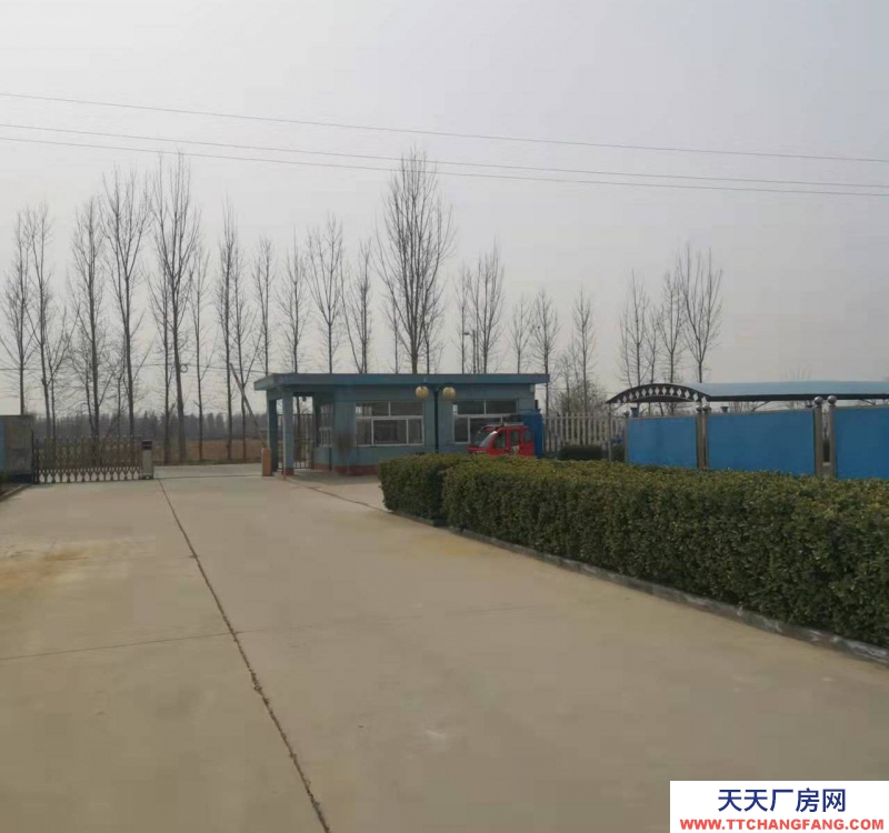 衡水 冀州炒貨食品及堅果制品廠房(出租) 緊鄰106國道，冀州南高速口，出入方便。