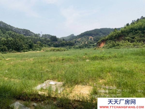 福州市閩清機(jī)加工廠房 閩清正規(guī)工業(yè)區(qū)廠房出售，33畝地塊方正，位置佳，自用