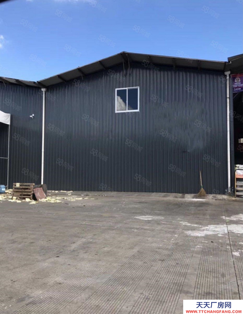 臺州市路橋 (出租) 出租路北街道鋼架廠房一樓850平交通方便 蜂產(chǎn)品