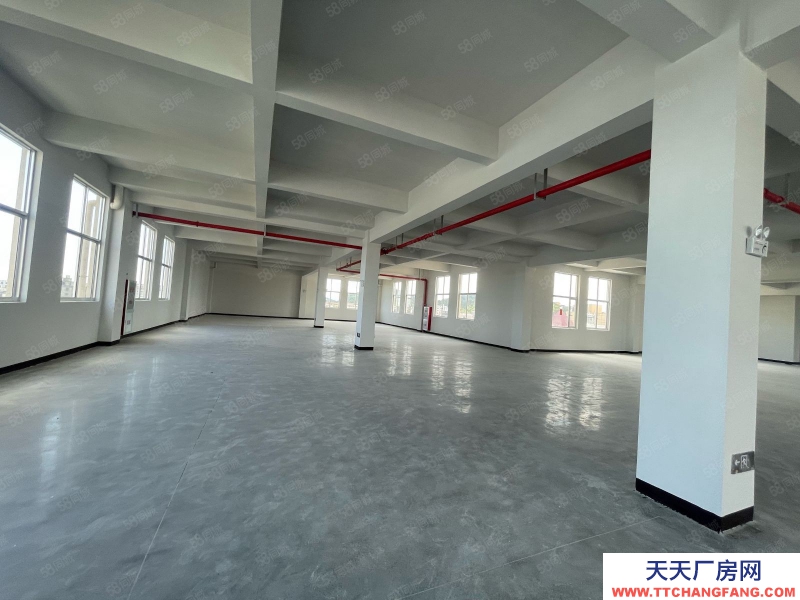 臺(tái)州市路橋(出租) 新橋獨(dú)門獨(dú)院新廠房共4層4500平高度8米可分租  酒類