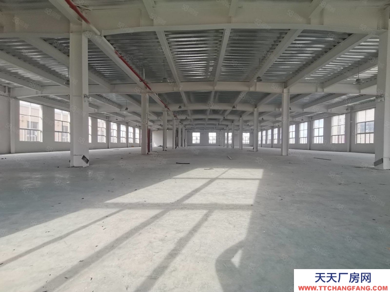 臺州市路橋(出租) 路南 路澤太旁邊能走17米車1樓800平方