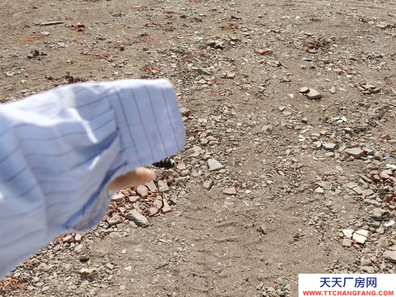 臺州市路橋(出售) 出售峰江104國道旁邊空地5畝規劃4層6100平方  保健食品