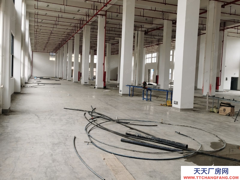 臺州市路橋(出售) 出售峰江雙層框架結構廠房土地4畝建筑2700平方  珠寶加工