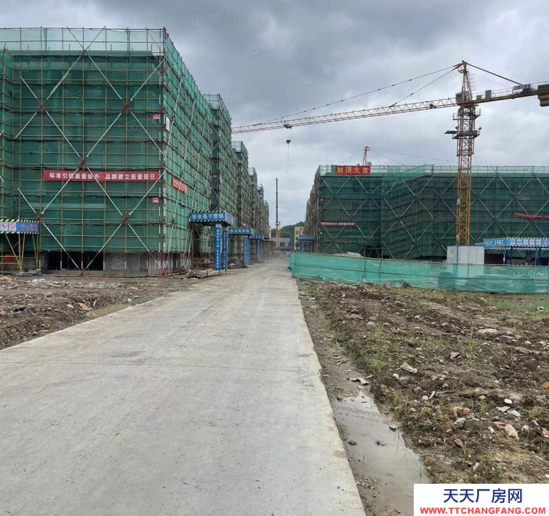 臺州市路橋(出售) 500起，非中介，出售50年獨立產權廠房，三證齊全可按揭   乳制品