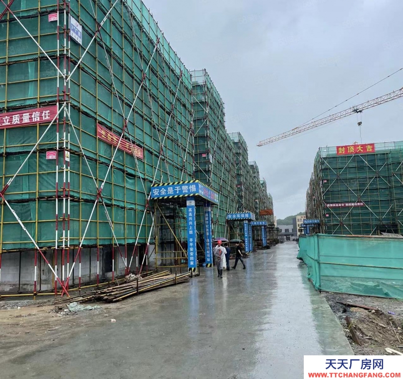 臺州市路橋(出售) 500起，非中介，出售50年獨立產權廠房，三證齊全可按揭   乳制品