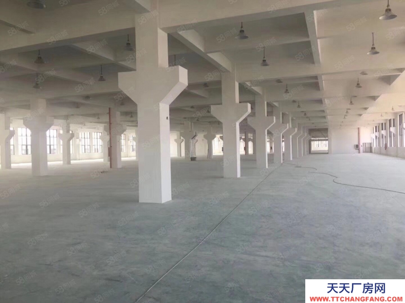 臺州市路橋(出售) 出售路橋，獨門獨院17畝，10000平，誠心出售4200萬  速凍食品