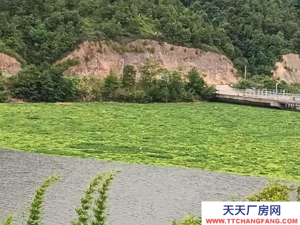 贛州市贛縣機加工廠房  鄉村湖景房出租 居龍潭水庫邊（可租、可售、可合伙開發民宿）