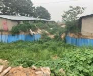 (出租) 鶴壁?？h可以整租廠區(qū)可以單獨(dú)租棚