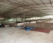 (出租) （51旺鋪）桂林市秀峰4000平大型養(yǎng)豬場(chǎng)出租設(shè)備設(shè)施齊全