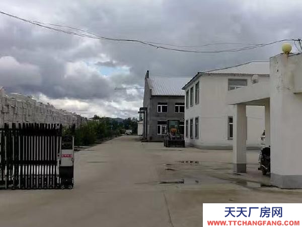 郊區交通便利，泡菜廠房規整，證照齊全