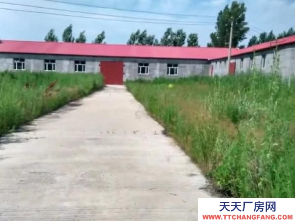 郊區(qū)舉架高5m 寬15m 長(zhǎng)60m 堅(jiān)果廠房