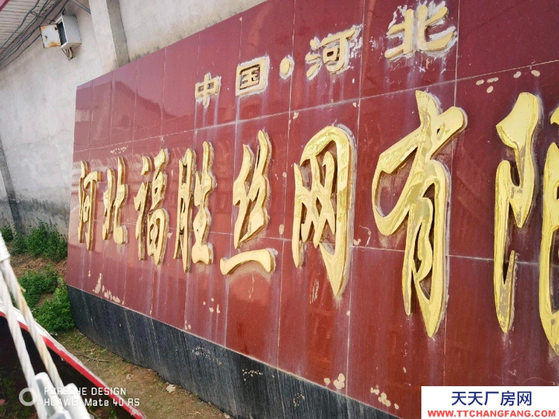 衡水 安平味精廠房(出租) 位于馬屯開發區西邊官佐村南